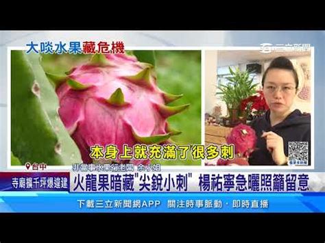 火龍果刺到|火龍果刺：利大於弊？